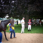 jockey and horse2011d16c037
